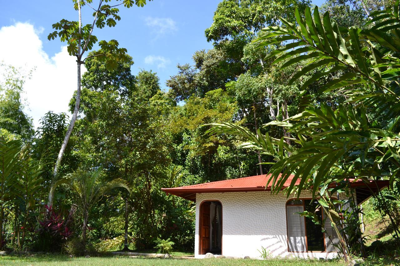 Natuga Ecolodge-Villas Dominical Baru Room photo