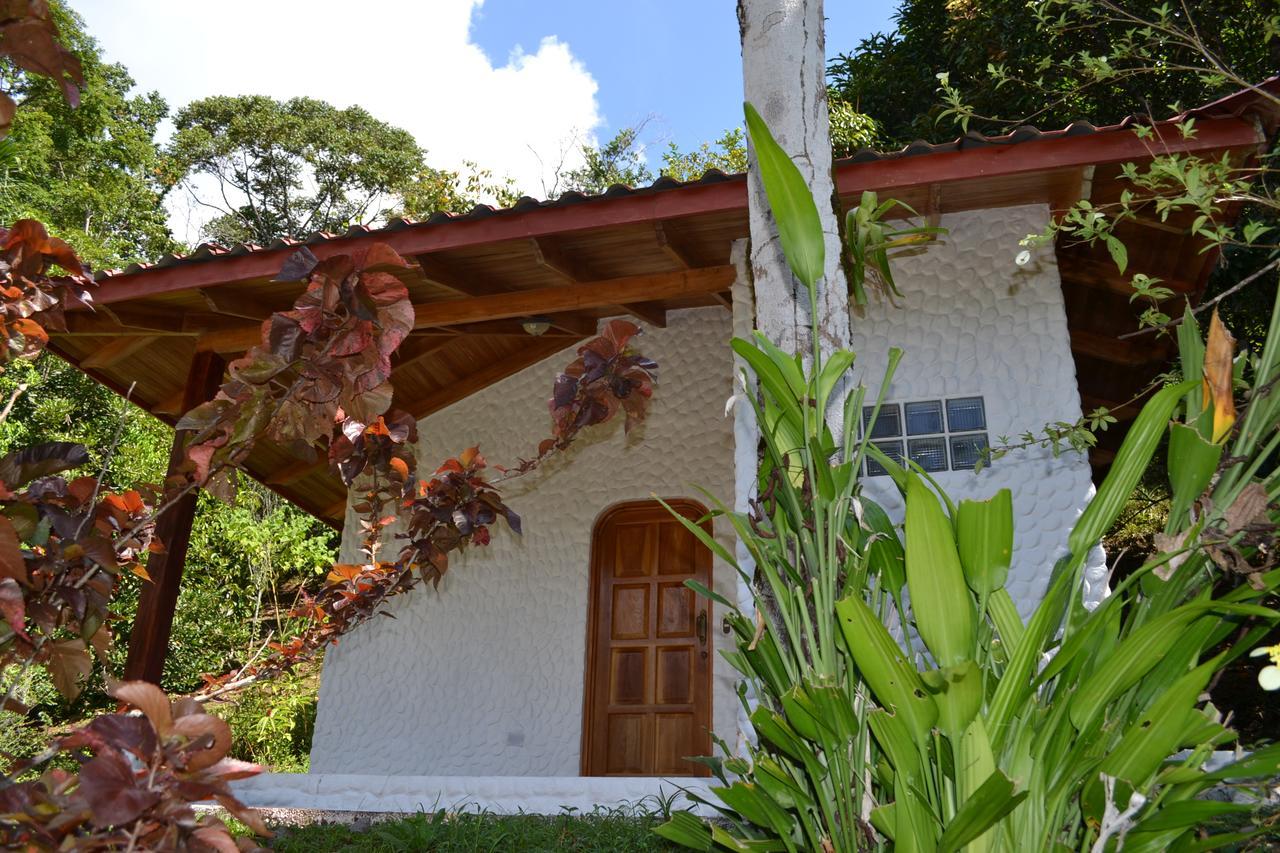 Natuga Ecolodge-Villas Dominical Baru Room photo